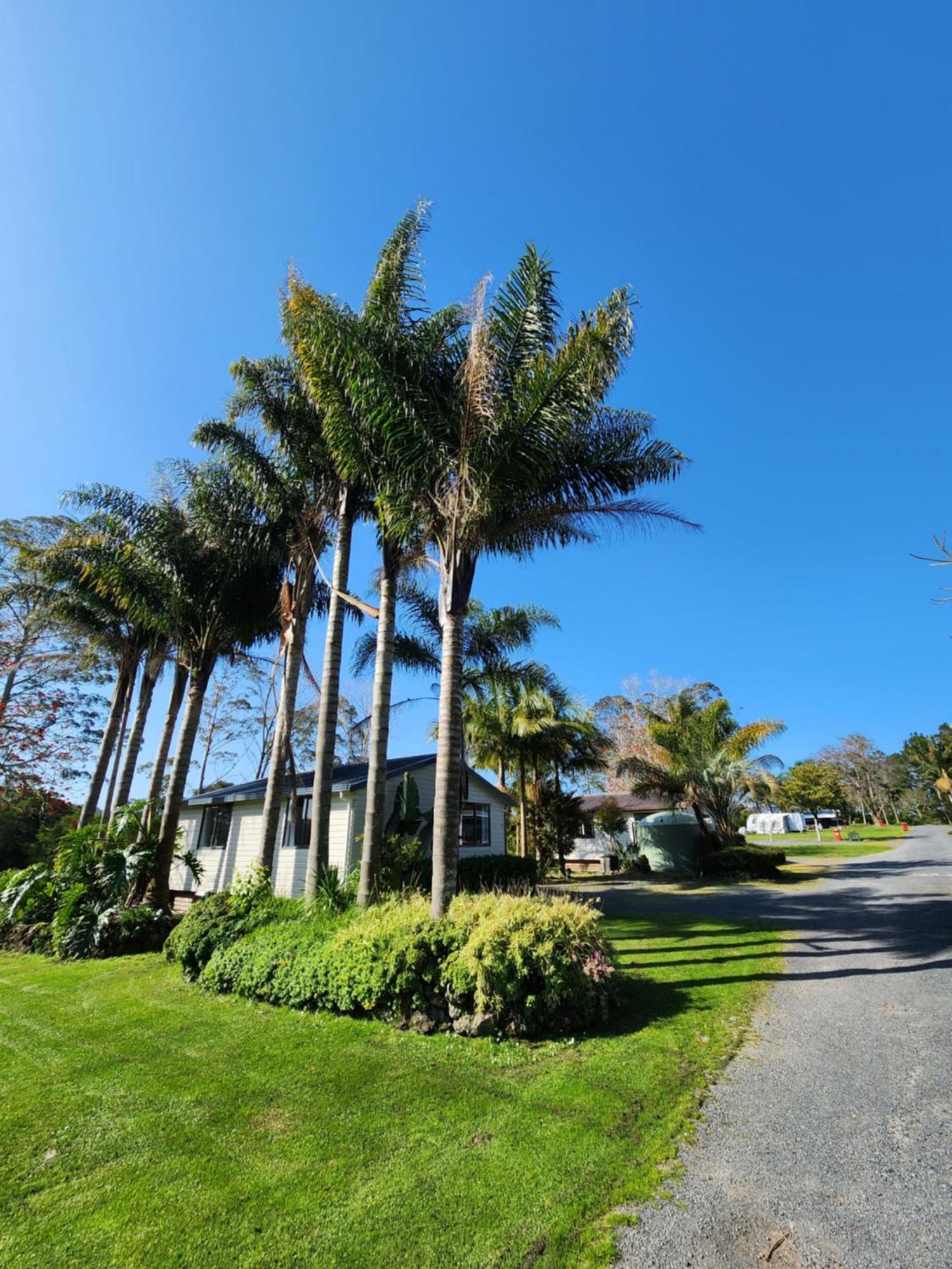 Bay Of Islands Holiday Park Paihia Exterior foto